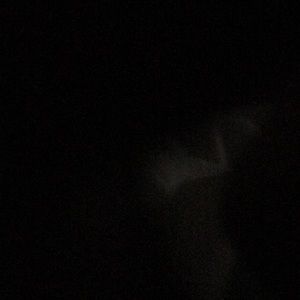 Meet your Posher, George